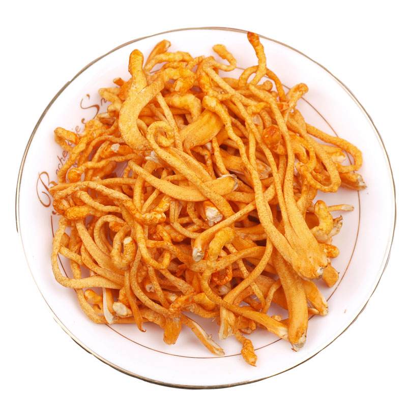 信邦解讀:蟲草花的保存方法